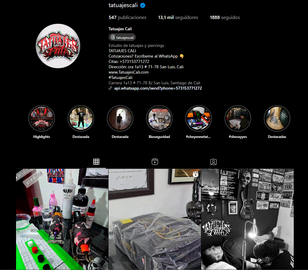 Instagram Feed Preview on Desktop